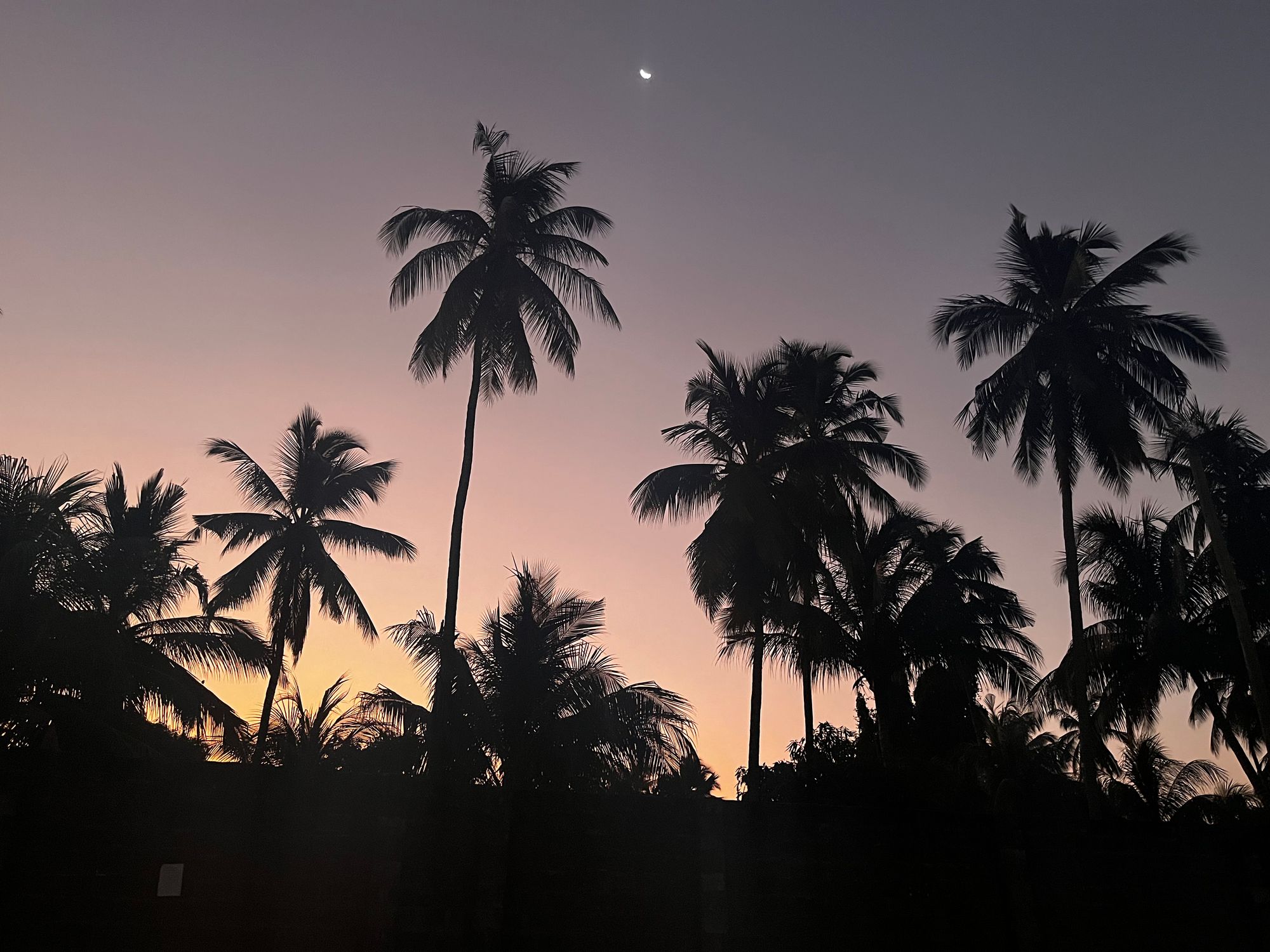 Zanzibar through my lens 📸