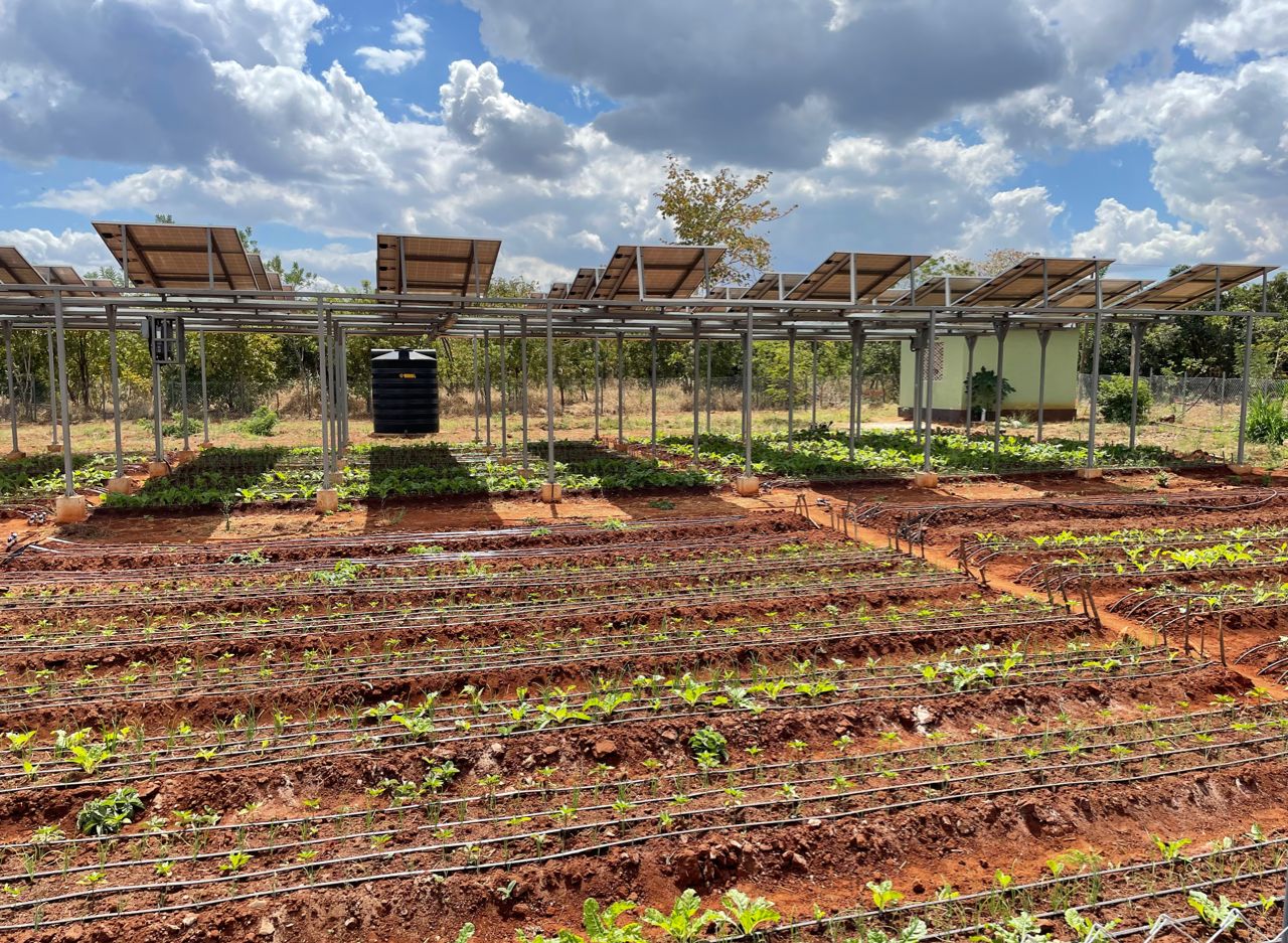 🇹🇿 Powering Tanzania's Future:  Promise of Agrivoltaics